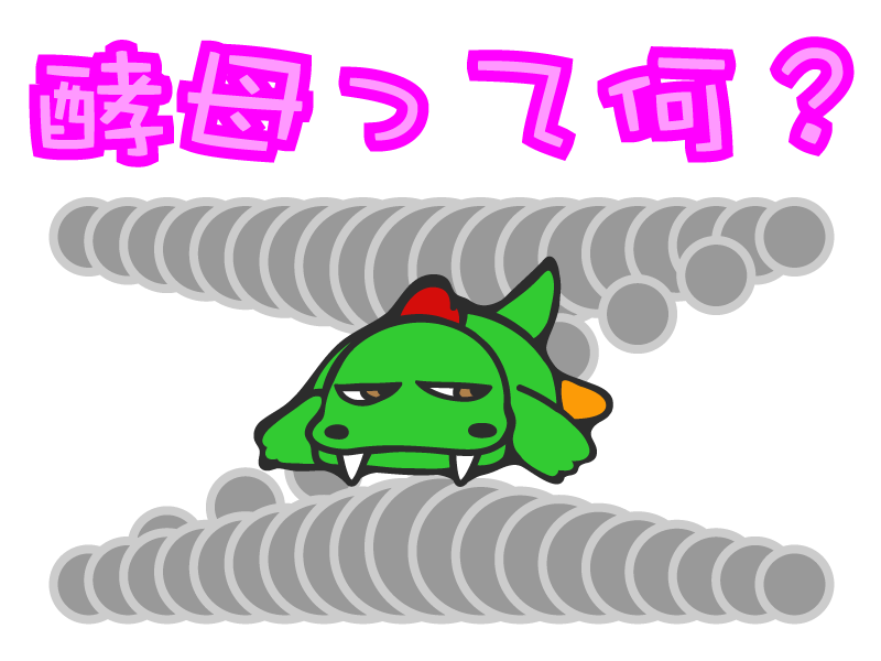 酵母って何？